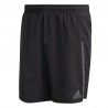 Saturday Short