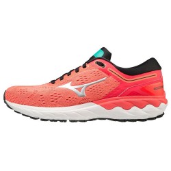 46-fierycoral2/nclou