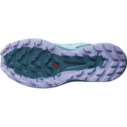 Delphinium blue/mal