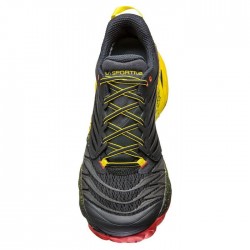 Black/yellow