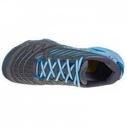 Carbon/pacific blue