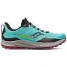 Peregrine 12 W