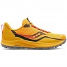 Peregrine 12 W