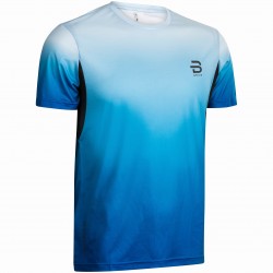 24750-directoire blu