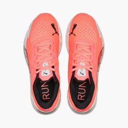 Sunset glow-puma bla
