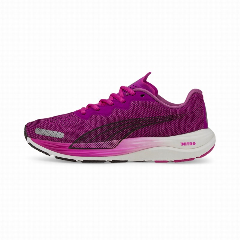 Deep orchid-puma bla Deep orchid-puma bla