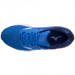 21-pblue/dellarobbia