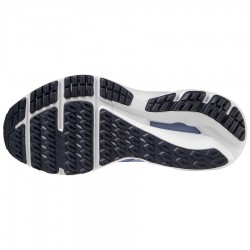 02-amparob/wht/deepc