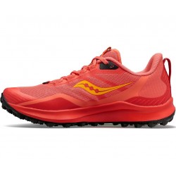 32-coral/redrock