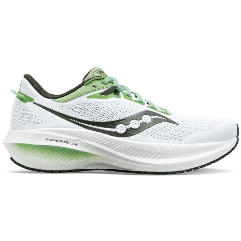 31-white/umbra