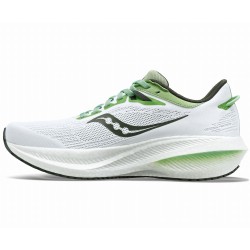 31-white/umbra