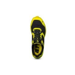 Black/yellow
