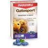 Gatosport Muffins Myrtille