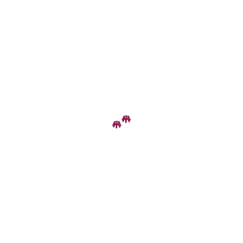 Fushia Fushia