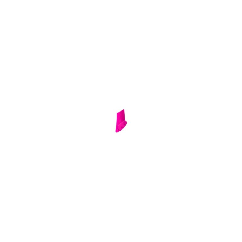Fushia Fushia