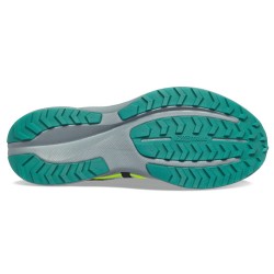 15 fossil/citron