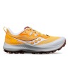 Peregrine 14 W