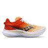 Kinvara 14 W