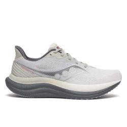 Triumph 23 - Chaussures de running pour Homme - Grey / Shadow