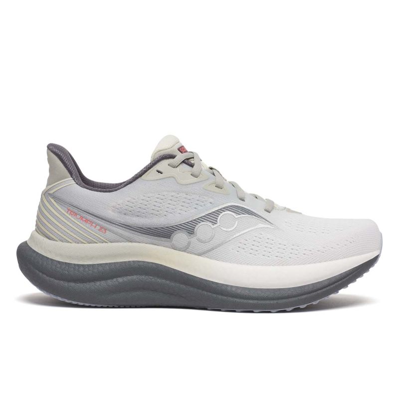 Triumph 23 - Chaussures de running pour Homme - Grey / Shadow