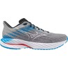 Wave Inspire 21