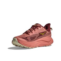 Challenger 8 - Chaussures de Trail Femme - Blush / Dark Cedar