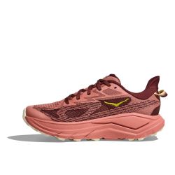 Challenger 8 - Chaussures de Trail Femme - Blush / Dark Cedar