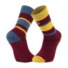Chaussettes de running Light Run basses - Ibiza Bordeaux / Jaune