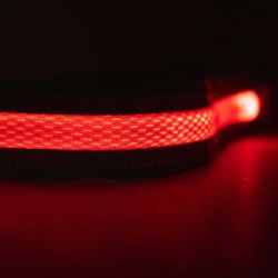 Ceinture Led Usb