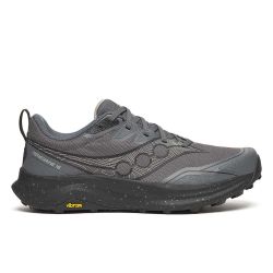 Peregrine 16 - Chaussures de Trail Homme - Carbon / Black